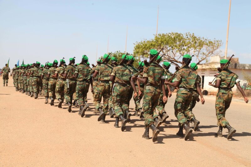 Renewed Calls For Withdrawal Of Eritrean Troops From Tigray – The ...