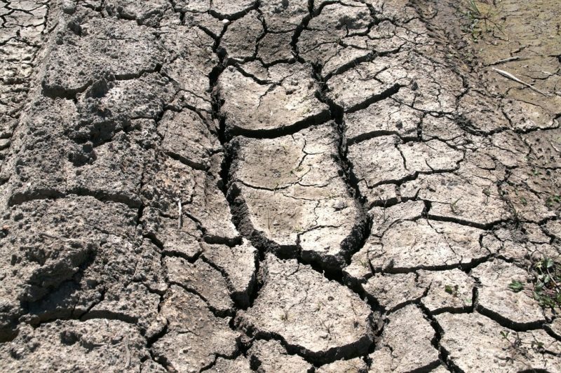 A dry, cracked mud field.