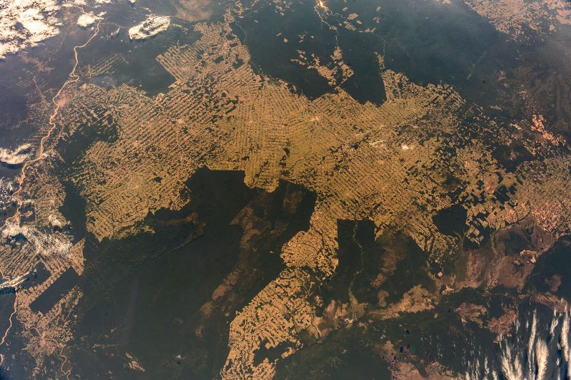 A satellite image of the Amazon Rainforest, which shows a large portion of the forest as barren land following deforestation.